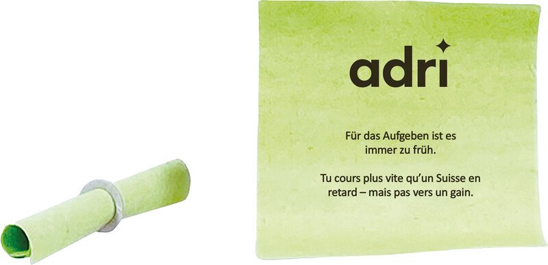 Billets de tombola perdants allemand et français Pic1