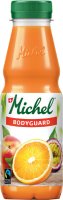 Michel Bodyguard 3.3dl