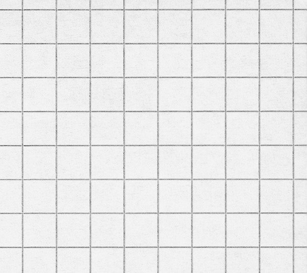 Naturaline Schulheft Stab 4° 20 Blatt 5mm ohne Rand Pic2