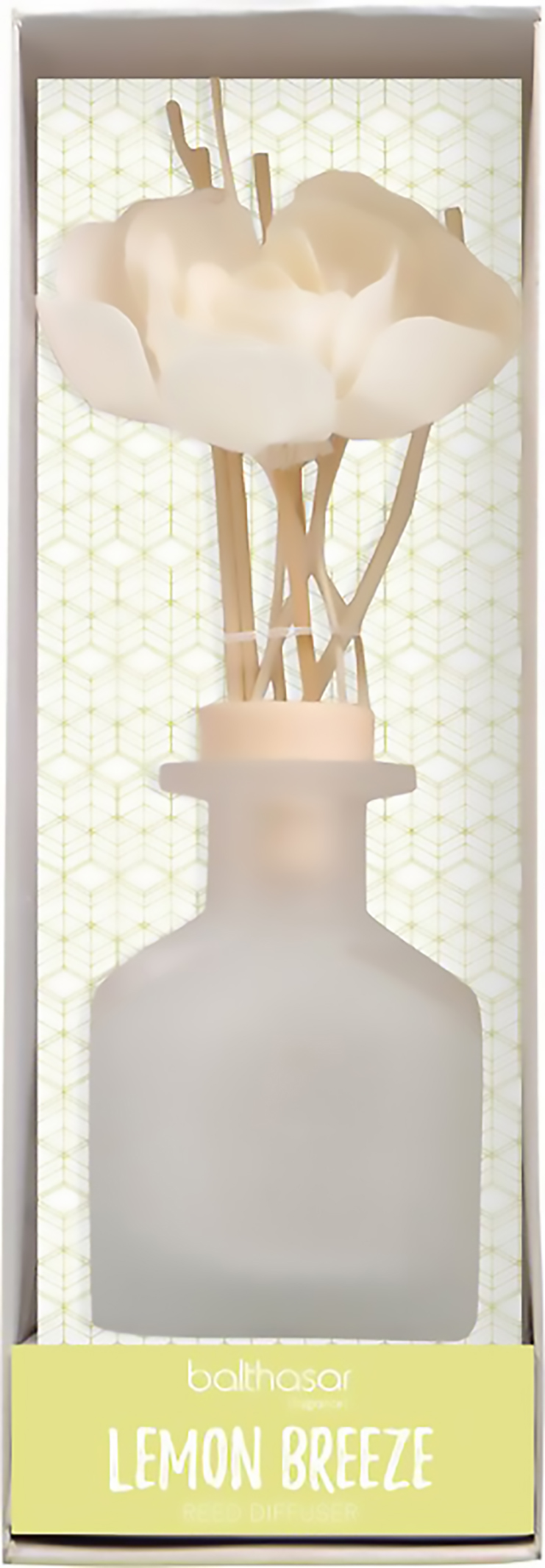 Balthasar Parfum d'ambiance Diffuser Flower avec 100ml Pic1