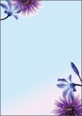 Sigel Design Papier A4 90gr Blue Emotion à 50