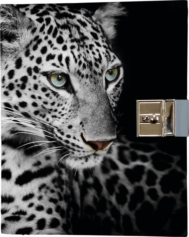 Eibert Tagebuch 16x19cm Leopard Pic1