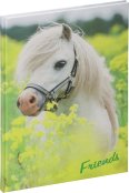 Pagna Freundebuch Kleines Pony