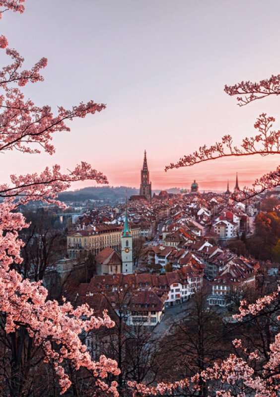 Agenda Schweizer Photo-Almanach 2026 A5 1W/1S Pic2