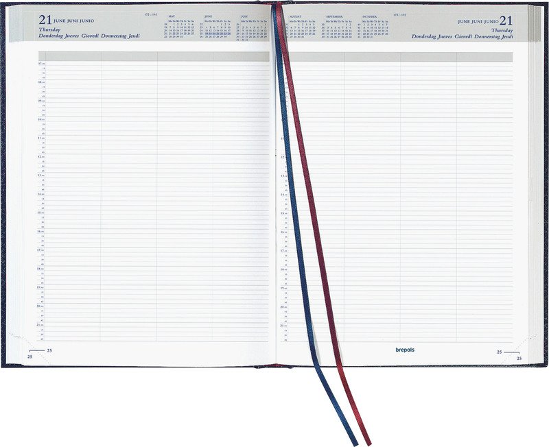 Brepols Geschäftsagenda Bremax 2 2025 21x29cm 1T/2S Pic2