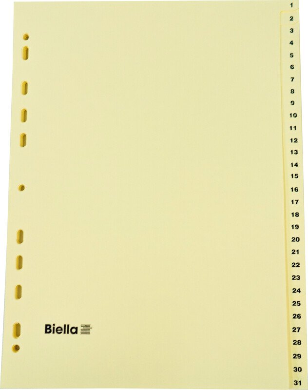 Biella Kartonregister A4 160gr 1-31 Pic1