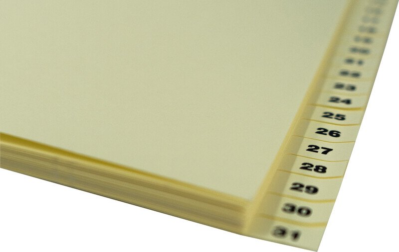 Biella Kartonregister A4 160gr 1-31 Pic2