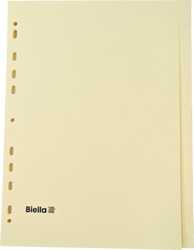 Biella Kartonregister A4 160gr 24-teilig Pic1
