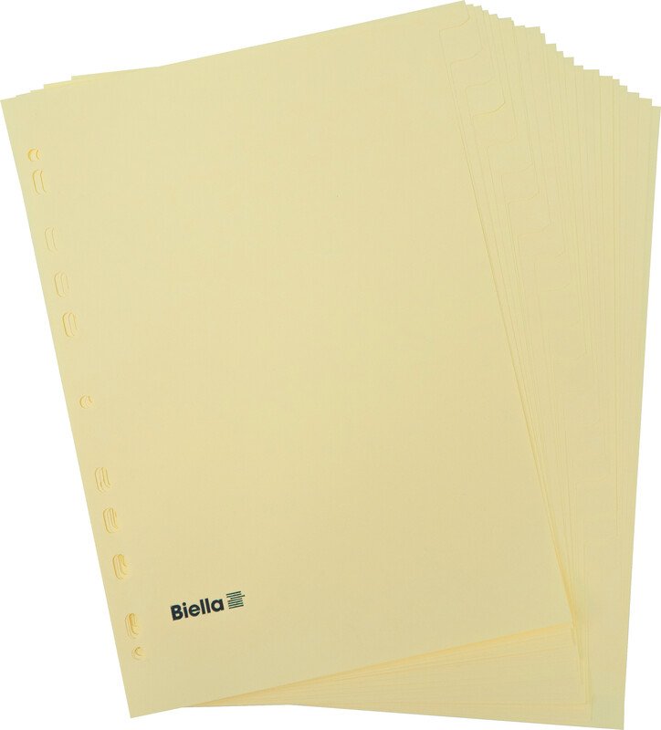 Biella Kartonregister A4 160gr 24-teilig Pic2