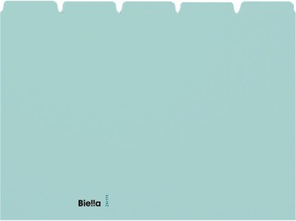 Biella Kartei-Leitkarten A5 quer blanko à 25 Pic1