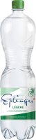 Eptinger Mineralwasser grün wenig Kohlensäure 1.5l
