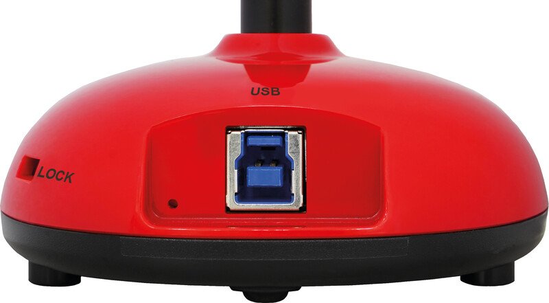 Lumens Visualizer DC-136 Ladibug Pic5