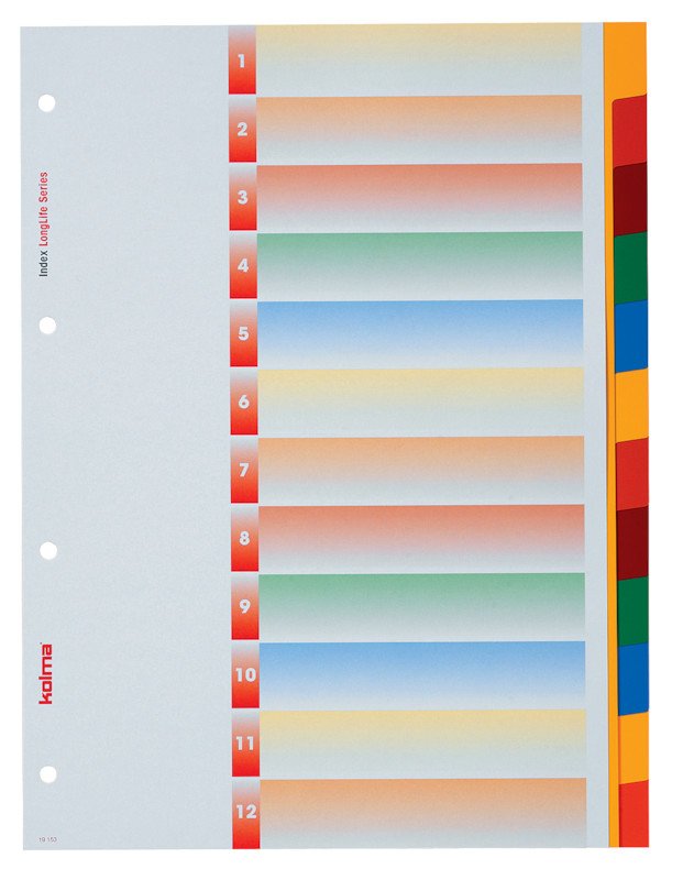 Kolma Register LongLife PVC A4 12-teilig blanko Pic1