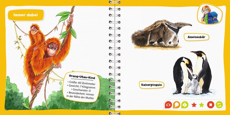 Ravensburger tiptoi Pocket Wissen Buch Tierkinder Pic3