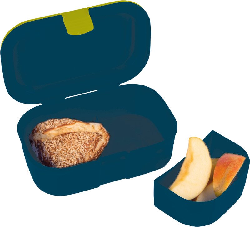 Lutz Mauder Lunchbox mit Obstfach T-Rex Pic2