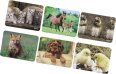 Hama Mauspad Tiere