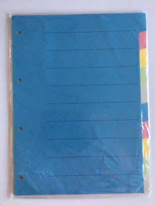 Ofrex Kartonregister A4 210gr 10-teilig mit Indexdruck Pic1