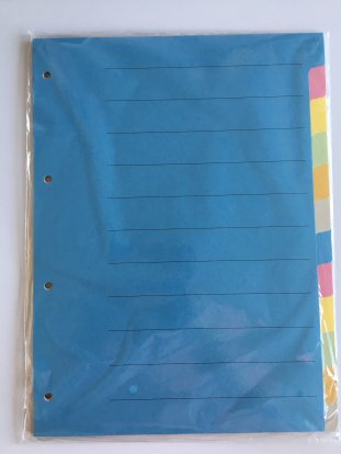 Ofrex Kartonregister A4 210gr 12-teilig mit Indexdruck Pic1