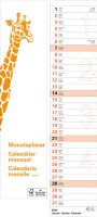 Giraffenkalender 2025 12x55cm 1M/1S