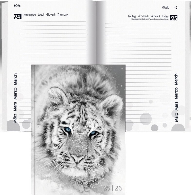 Biella Schüleragenda 12x16.5cm 2026 1T/1S Pic1