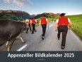 Appenzeller Bildkalender Carmen Wueest 31 x 40 cm