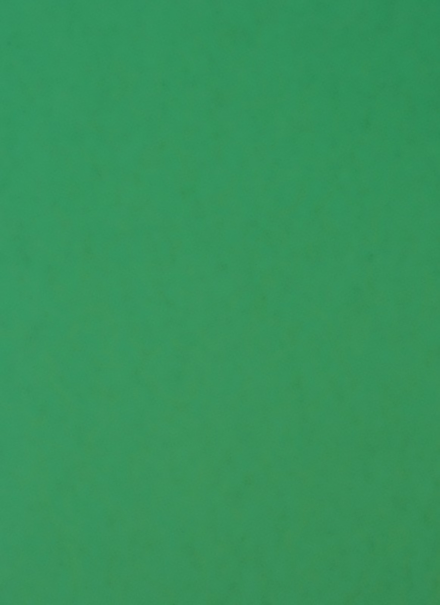 Connect Umschlagdeckel Pressspan A4 385gr à 50 Pic1