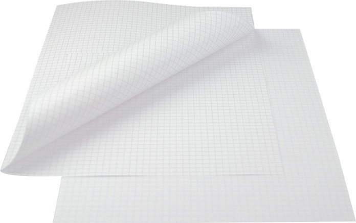 Planoscript Schreibpapier A4X2 (Doppelblatt) 90gr à 250 Pic1