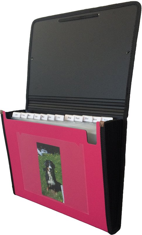 Kolma dossier à compartiments Daily Colours 13 poches A4 Pic2