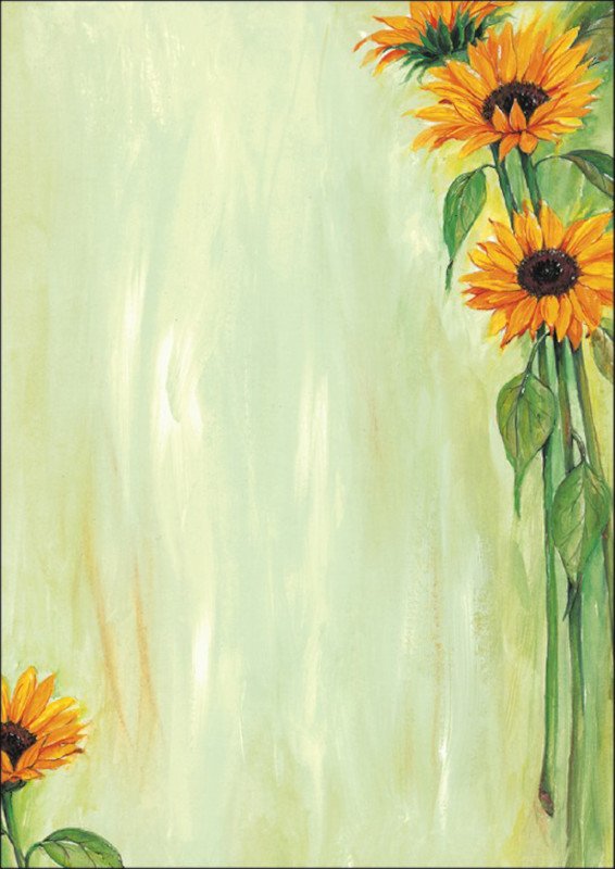 Sigel Design Papier A4 90gr Sunflower à 25 Pic1