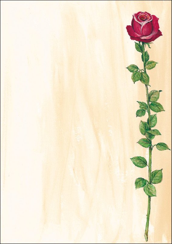 Sigel papier créatif A4 90gr Rose Bloom à 25 feuilles Pic1