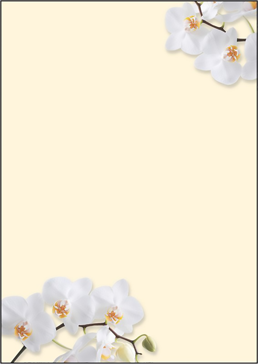 Sigel papier créatif A4 90gr White Orchid à 50 feuilles Pic1