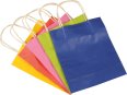 Folia Sac 24x12x31cm à 20