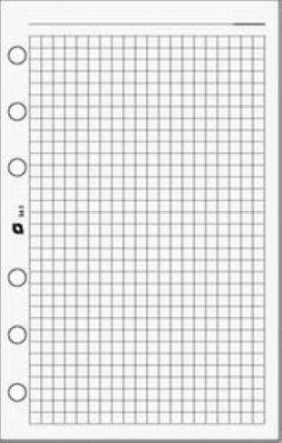 Succes Standard Notizpapier weiss kariert Pic1