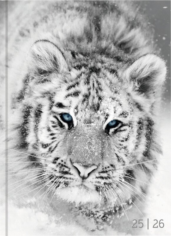 Biella Agenda scolaire 12x16.5cm 2026 1J/1P Pic3