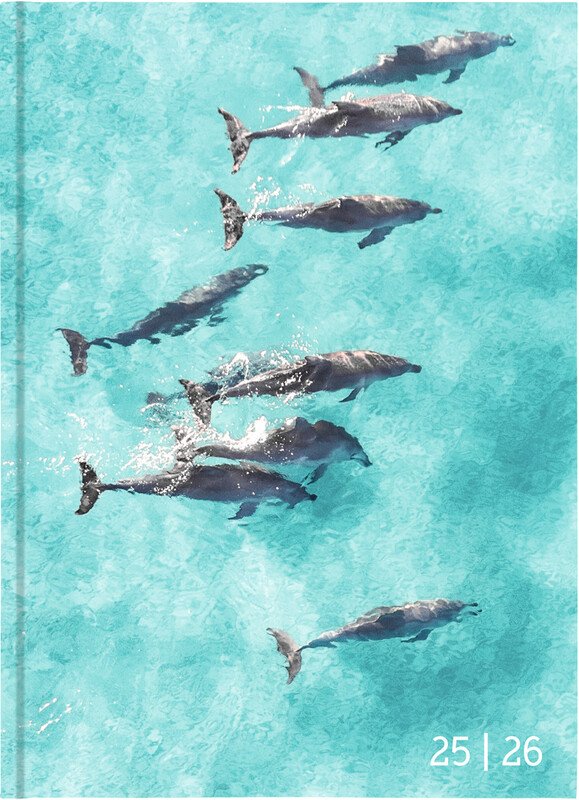 Biella Agenda scolaire 12x16.5cm 2026 1J/1P Pic3