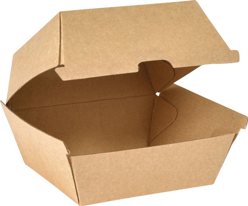 Duni Take Away Boxen BioPak aus Karton 500ml à 55 Pic1