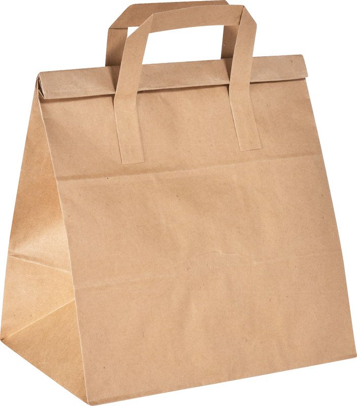 Duni Take Away Falttaschen BioPak aus Papier 8.5L à 250 Pic1