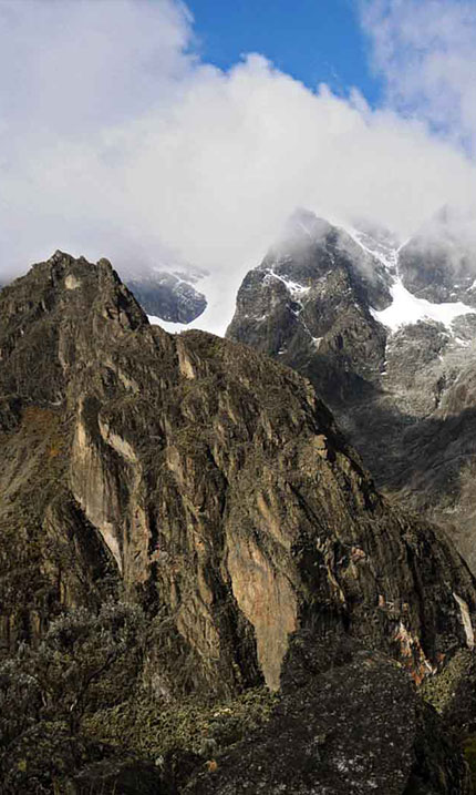 Projet Ofrex ClimatePartner dans le parc national des Virunga