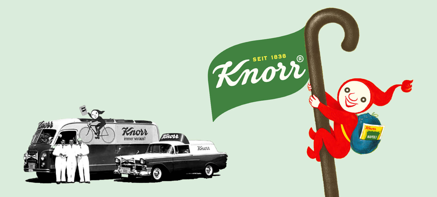 Knorr